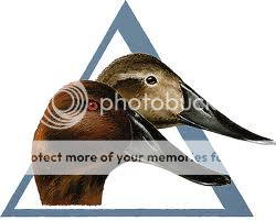 Deltawaterfowl_zpsf088f81d.png