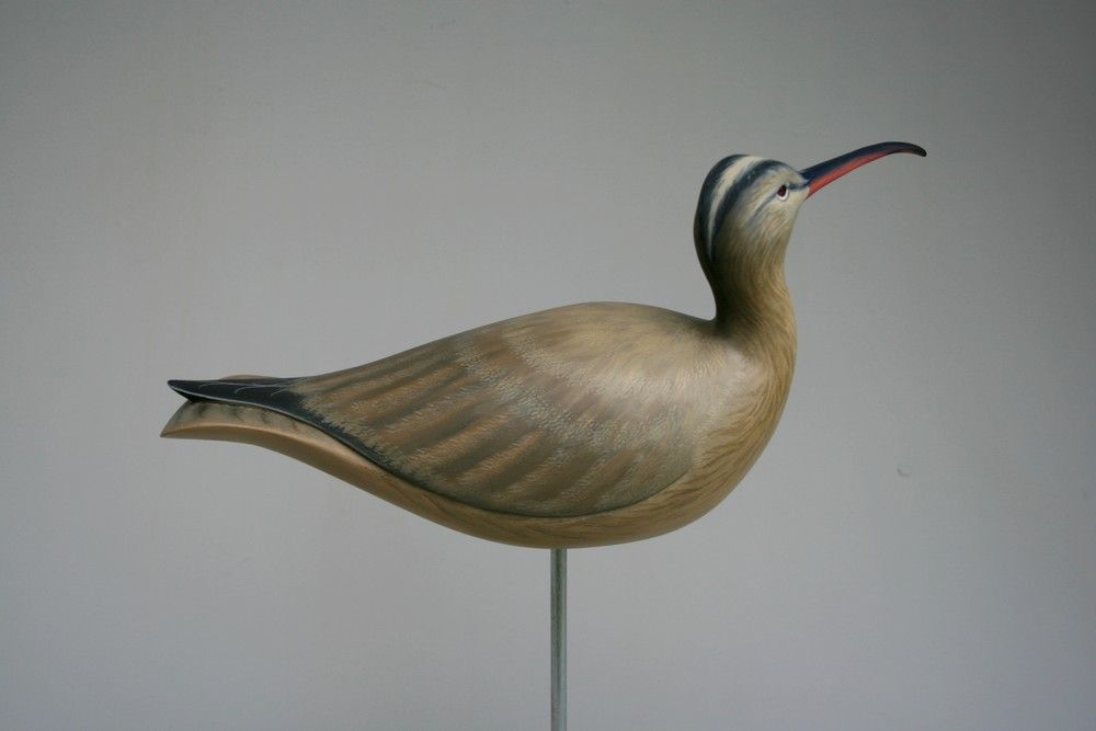 4Whimbrelsmall_zpsc90aac6e.jpg