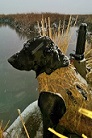 Shawn Linn's avatar