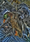 Victor Duskin's avatar