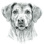Joe Spoo's avatar