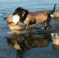 Derek and Xena's avatar