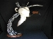 Blake Wilson's avatar