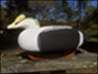 Capt. Brian Rhodes's avatar