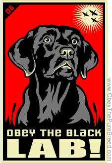 Dave Shady Larsen's avatar