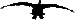 Rusty Black's avatar